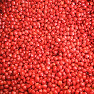 【一流供应商】常年销售林木种子海红豆种子孔雀豆相思豆种子价格